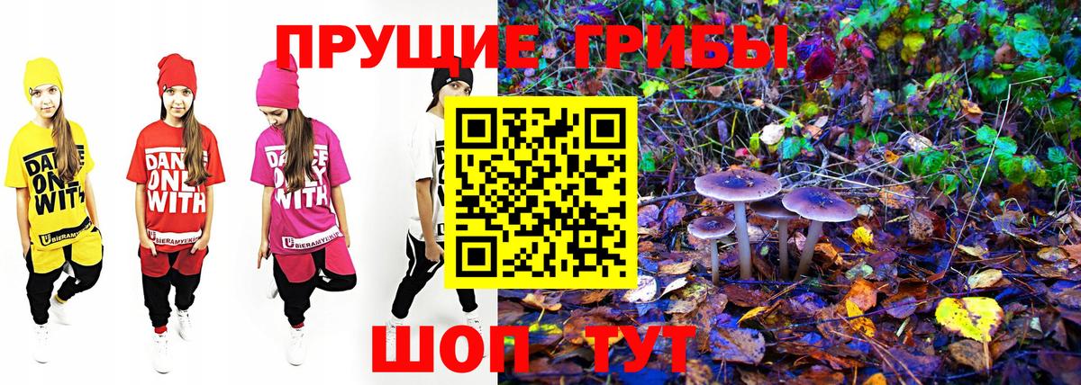 Псилоцибиновые грибы GOLDEN TEACHER Ишимбай