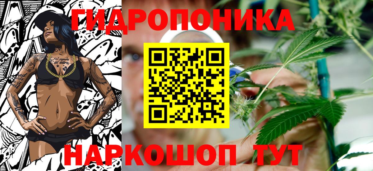 Конопля конопля  Вход с VPN  Ишимбай  Конопля Amnesia  Бошки Шишки SATIVA & INDICA 